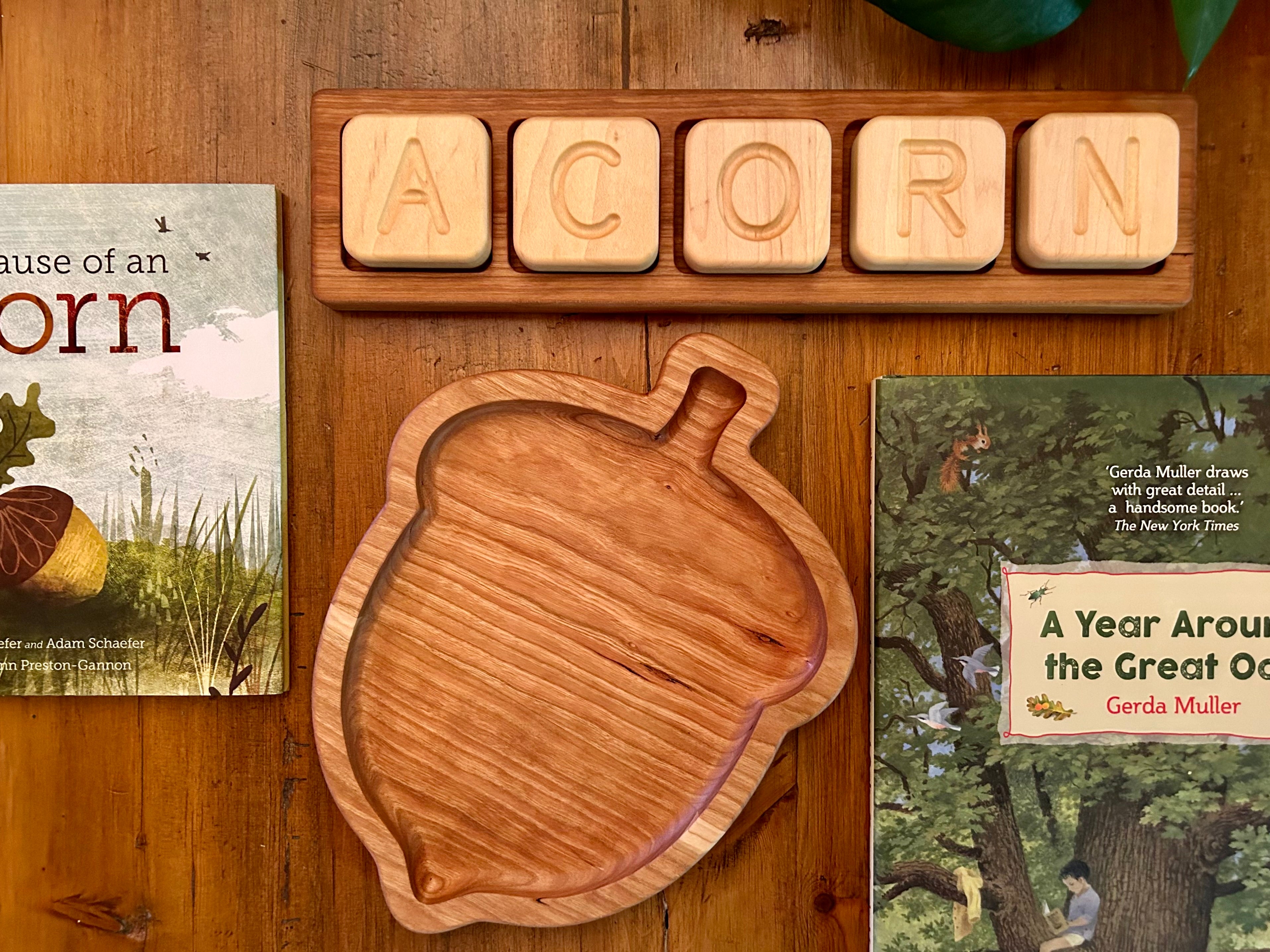 Acorn Tray