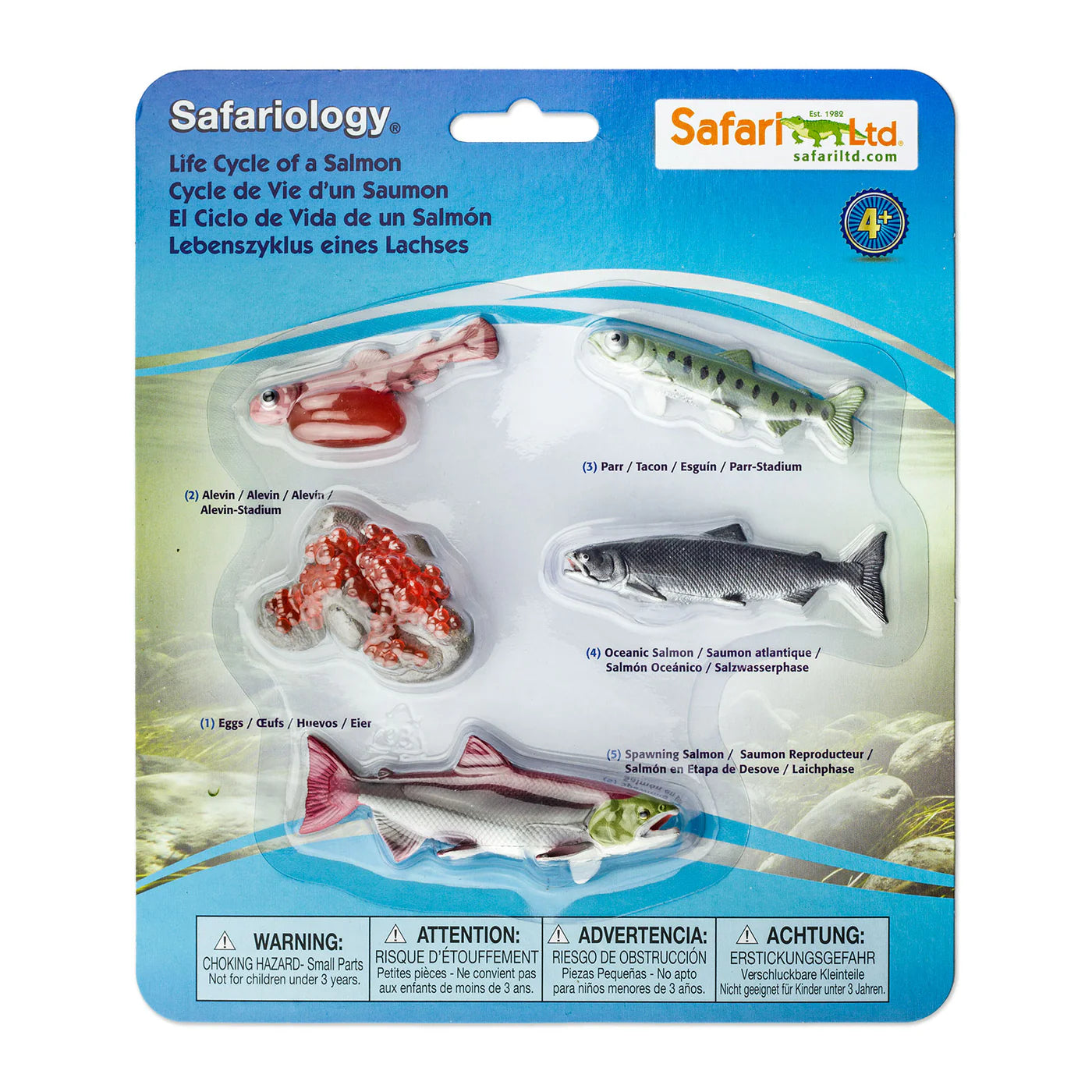Safari Ltd Life Cycles